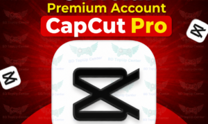 CapCut Pro Subscription